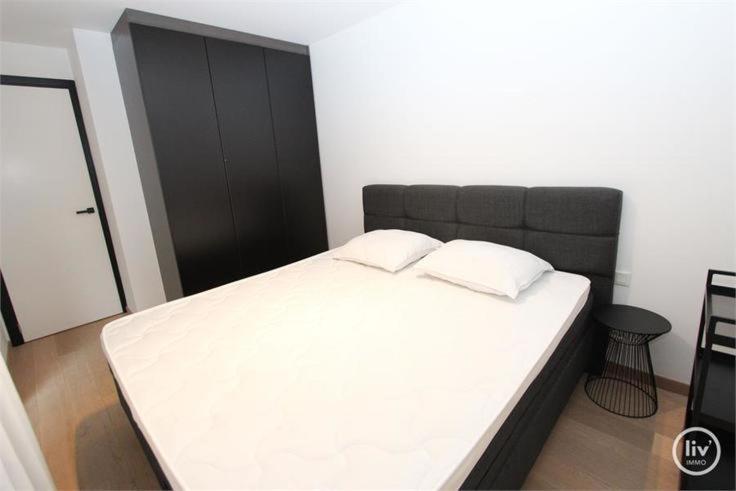 Appartement Spacieux A Knokke Kültér fotó